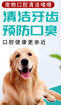 宠物洁齿凝胶
