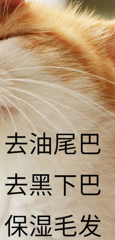 猫咪去油膏配方