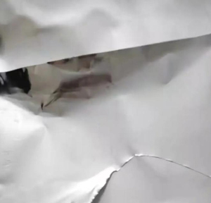 ��ذױ�����������䷽