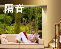 隔音阻尼涂料