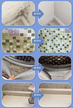 墙体除霉剂配方