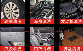 全效自洁素