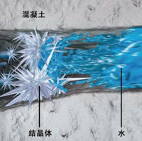 自愈型无机增殖剂