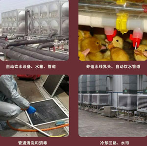 养殖场水线清洗剂配方